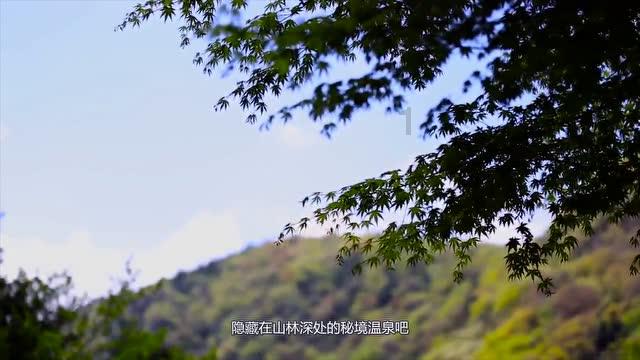 燃烧吧大脑装瓶子游戏